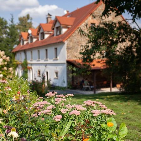 Villa Greta Świerzawa 外观 照片