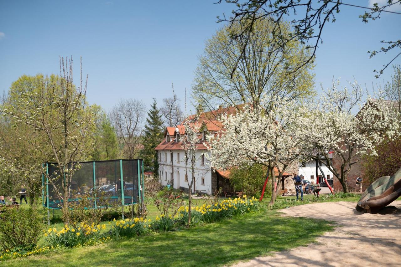 Villa Greta Świerzawa 外观 照片