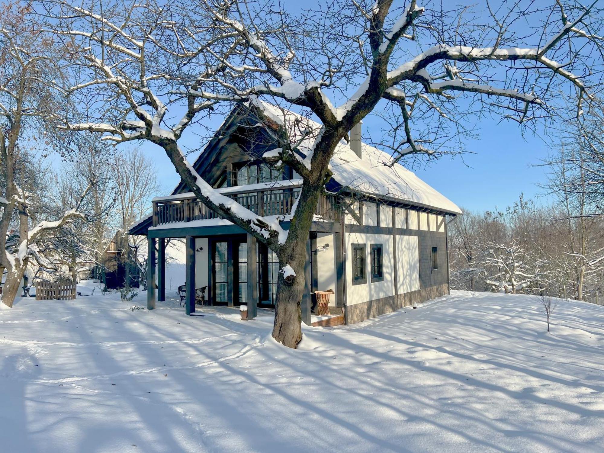 Villa Greta Świerzawa 外观 照片